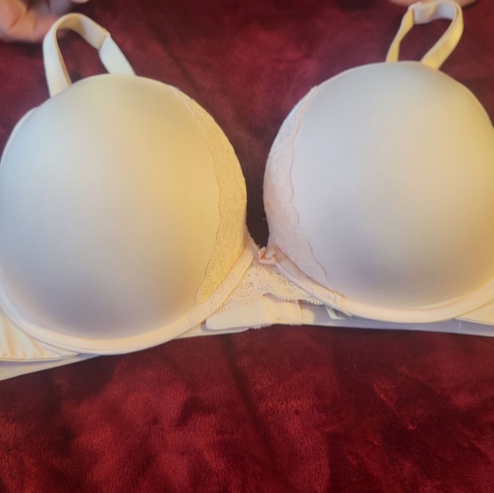 Torrid bra